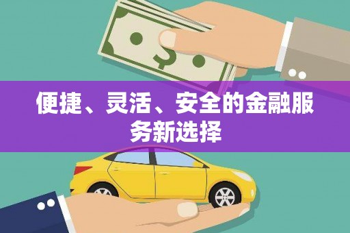 澜沧便捷、灵活、安全的金融服务新选择