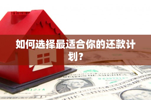 澜沧如何选择最适合你的还款计划？