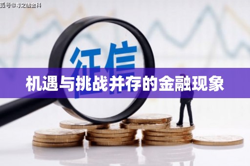 澜沧机遇与挑战并存的金融现象