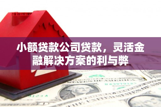 澜沧小额贷款公司贷款，灵活金融解决方案的利与弊