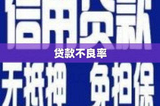 澜沧贷款不良率