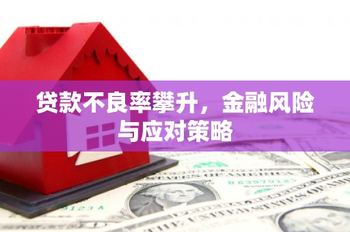 澜沧贷款不良率攀升，金融风险与应对策略