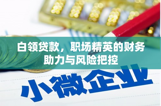 澜沧白领贷款，职场精英的财务助力与风险把控