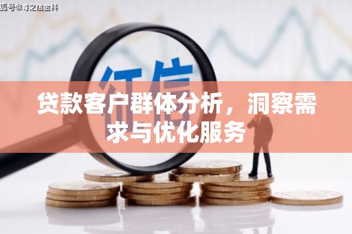 澜沧贷款客户群体分析，洞察需求与优化服务